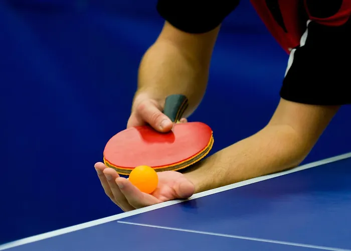 Bazantowo Sport 3* Katowice